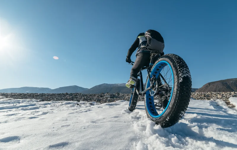 online Fatbike kopen